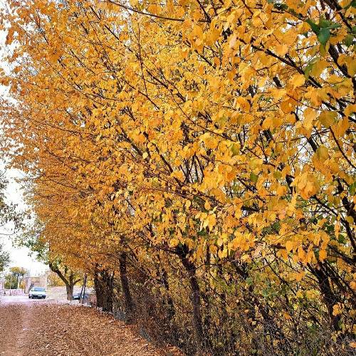 آرش خشنواز بی معرفت من واسه تو چی کم گذاشتم تو بگو